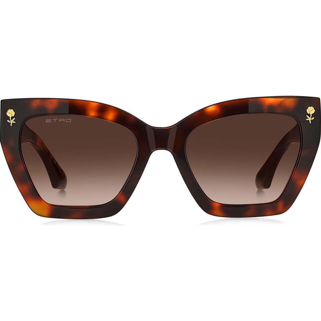 Etro 0090s Rectangle Acetate Sunglasses
