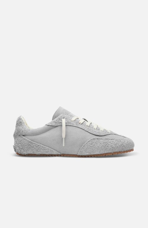 Axel Arigato Daze Suede Runner - Men's in Grey/off White at Nordstrom, Size 9