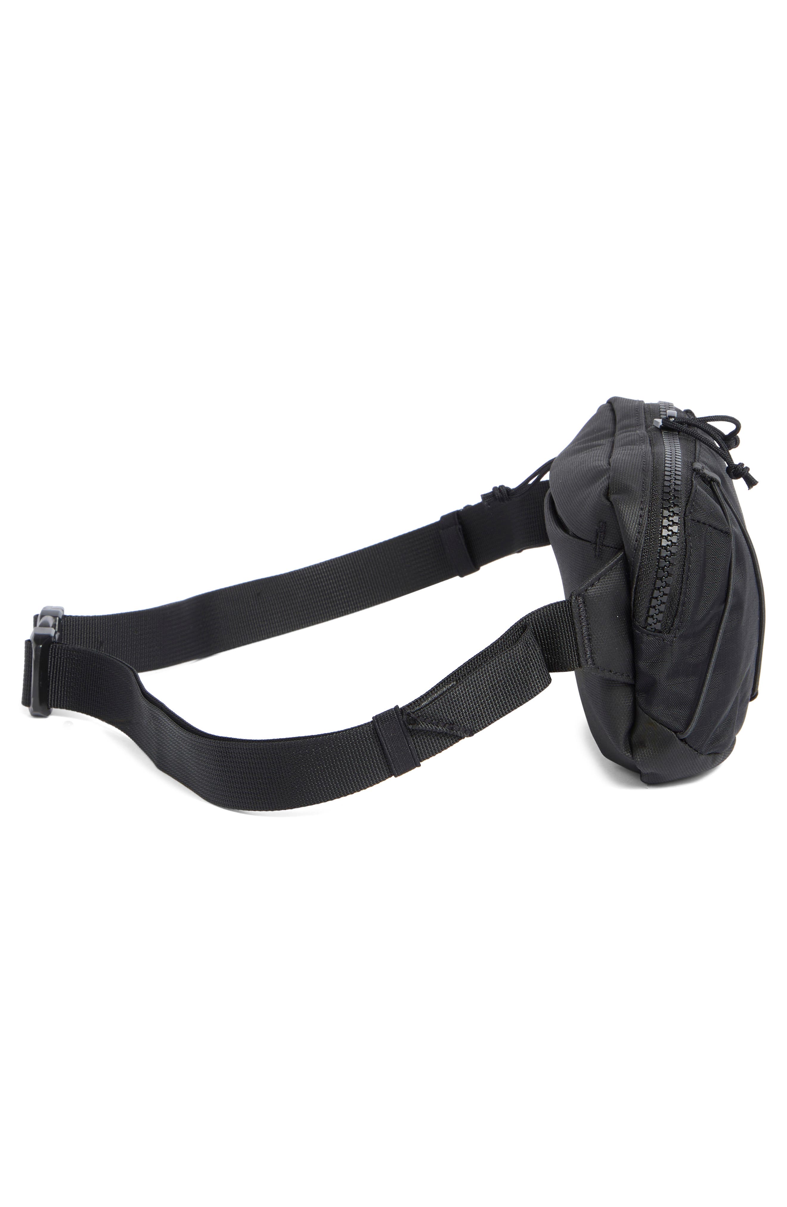 The North Face Terra Lumbar 1-Liter Belt Bag, Alternate, color, 