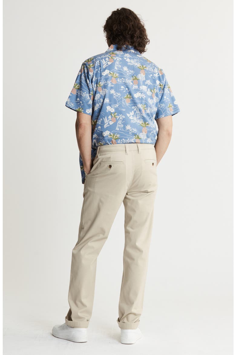 Classic Straight Leg Pants, Alternate, color, STONE