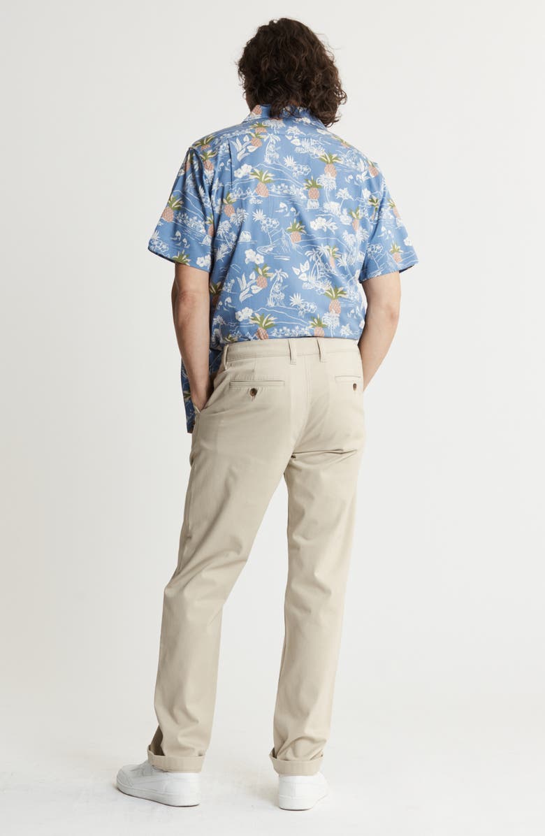 JACHS Classic Straight Leg Pants, Alternate, color, Stone