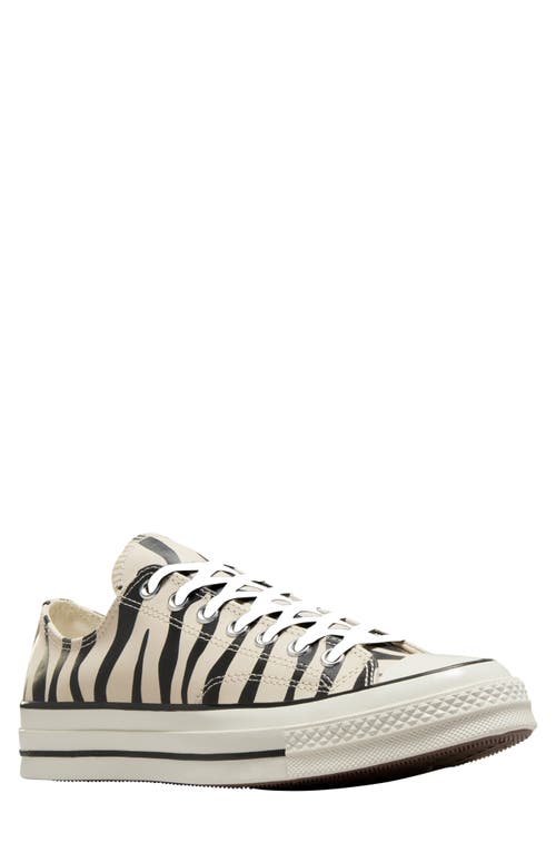 Converse Chuck 70 Glow-in-the-dark Zebra Print Sneakers Light Dune In Light Dune/black/egret