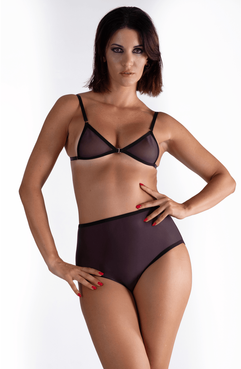 LECHERY<sup>®</sup> Lustrous Sheer High-waisted Brief, Alternate, color, Black