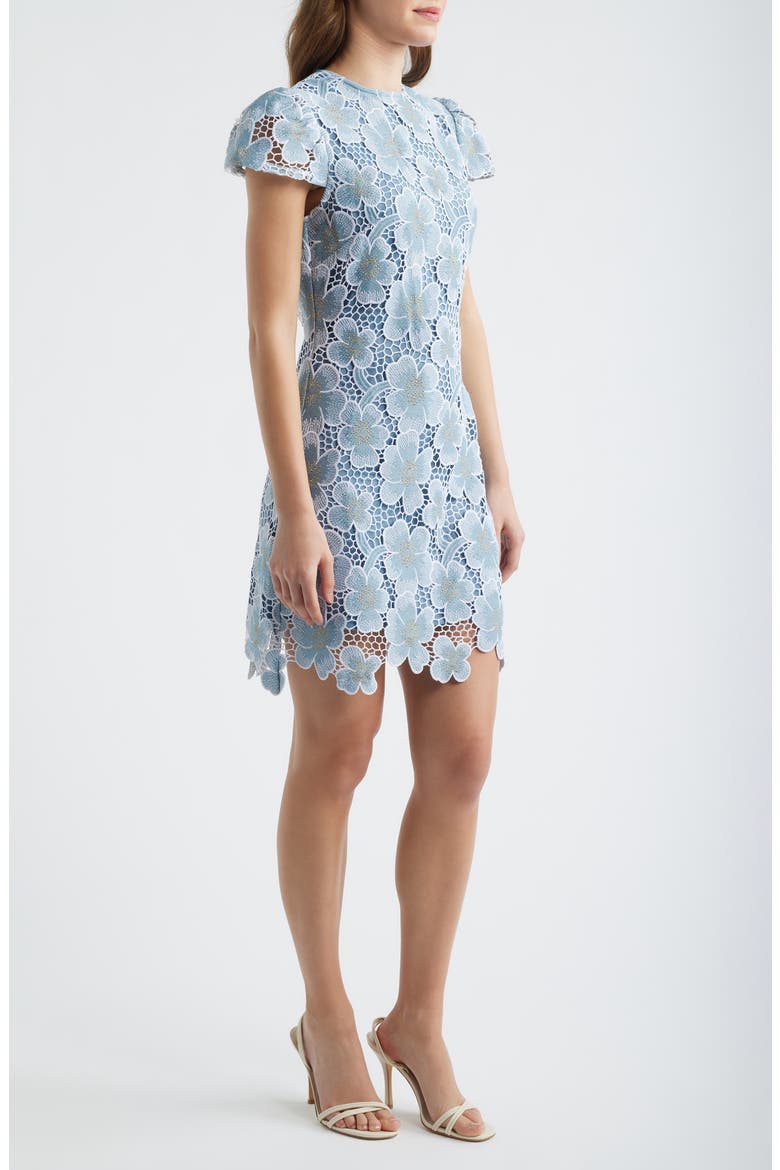 Floral Lace Cap Sleeve Dress, Alternate, color, BLUE