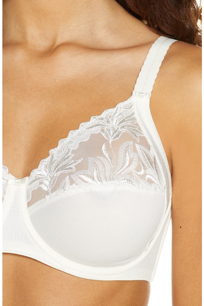 Amazone Full Support Underwire Bra, Alternate, color, IVORY