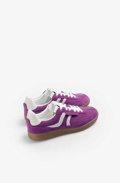 Scalpers Numico Sneakers W In Purple