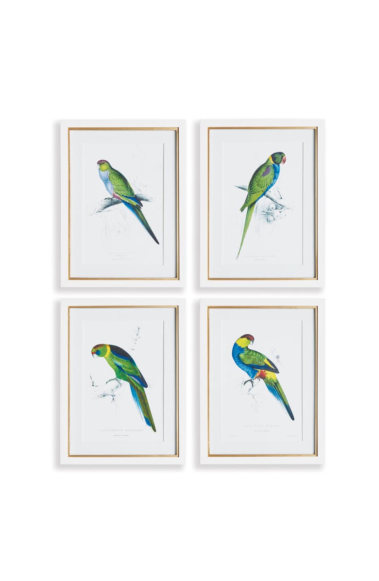 Napa Home & Garden Colorful Parrots Prints St/4, Main, color, Green