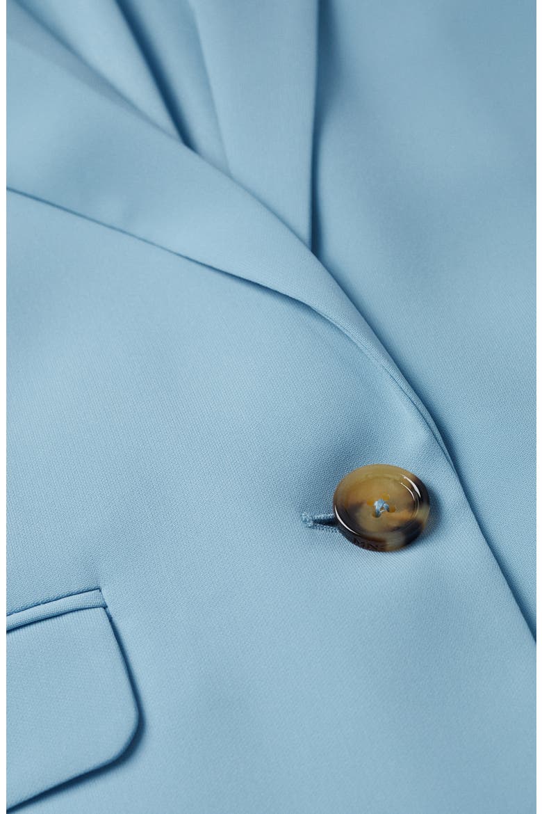 Oversize Blazer, Alternate, color, SKY BLUE