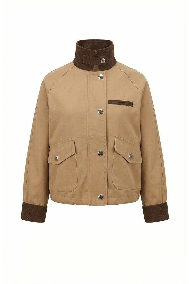 Cropped Contrast Collar Utility Jacket, Alternate, color, Tan / Brown