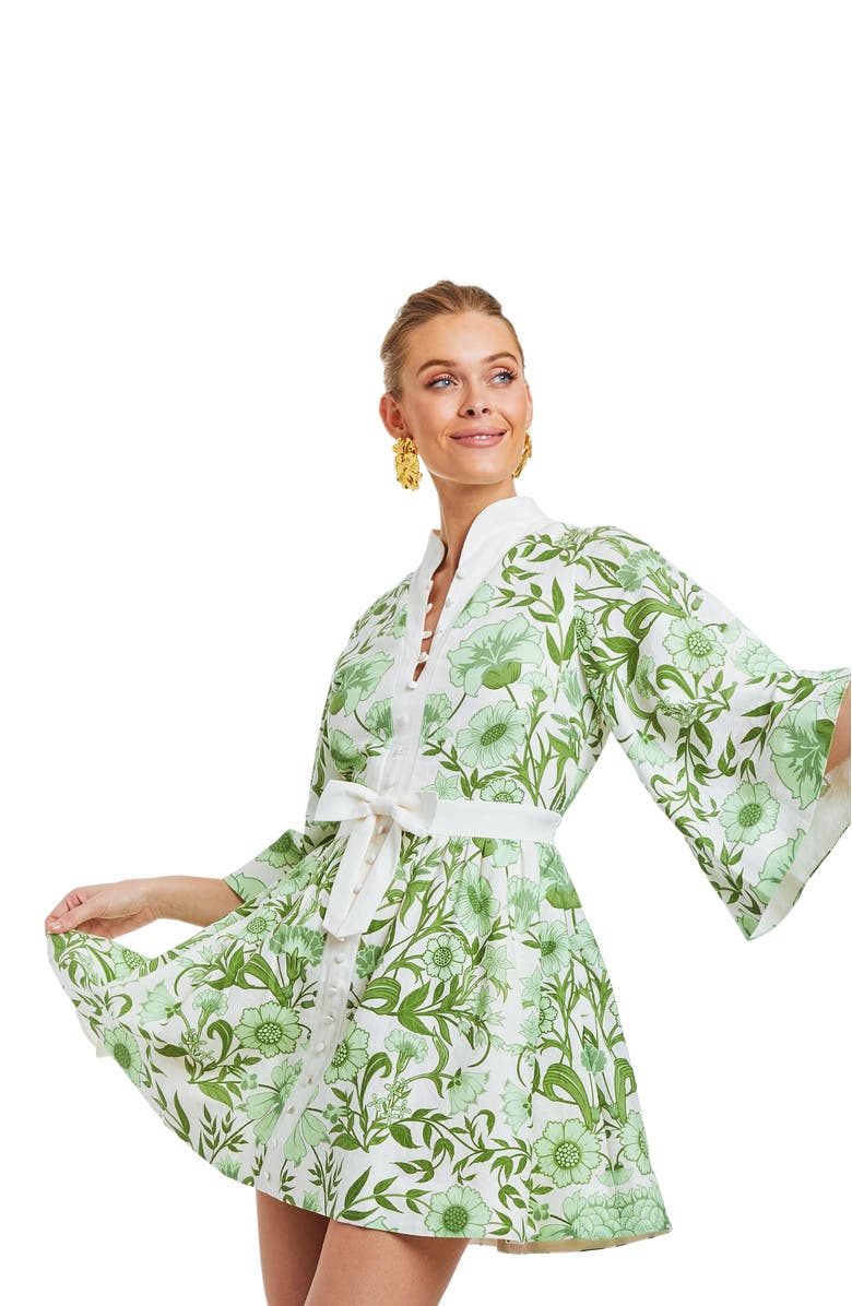 Mestiza New York Carmen Mini Dress, Alternate, color, 