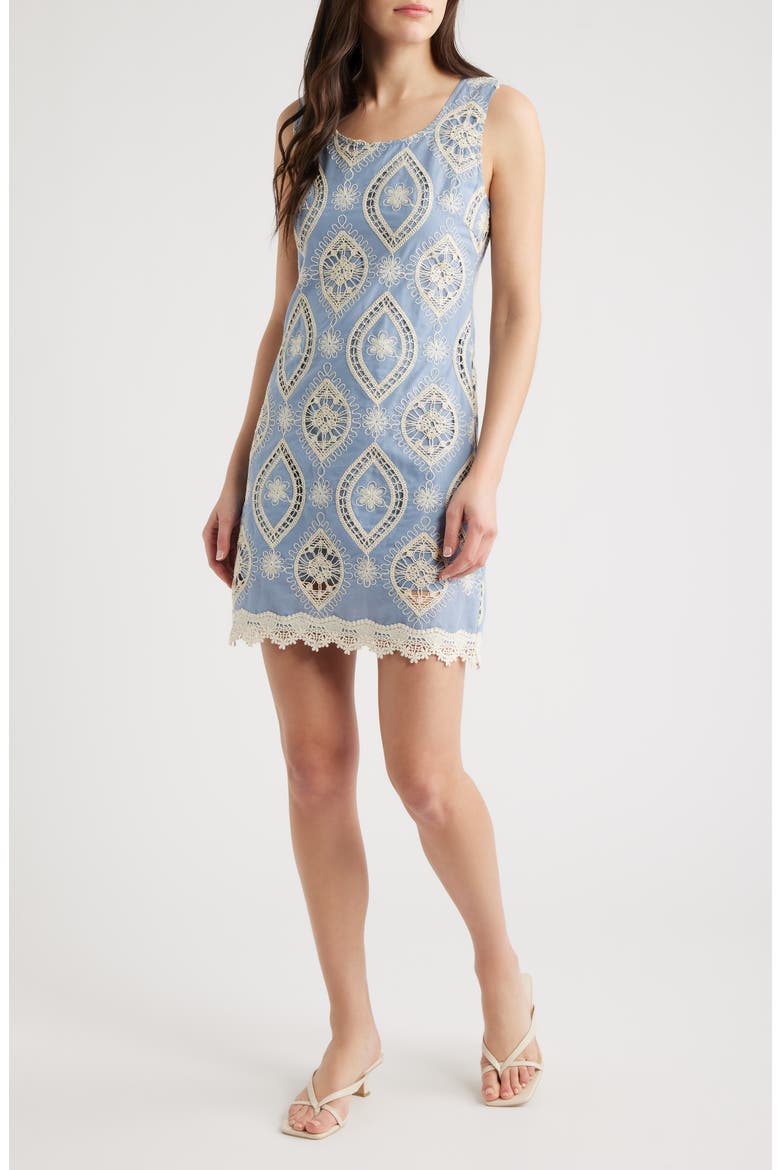 Embroidered Cotton Minidress, Main, color, LIGHT BLUE