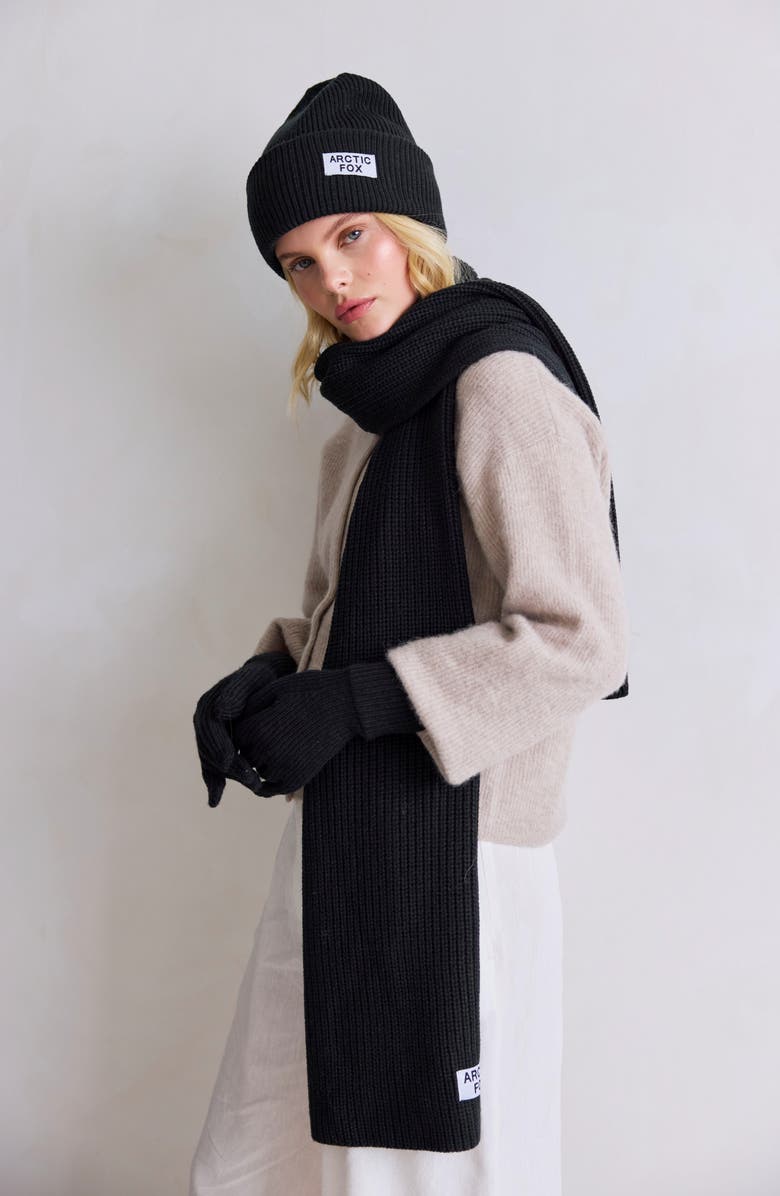 Arctic Fox & Co The Recycled Bottle Gloves, Alternate, color, Black Onyx