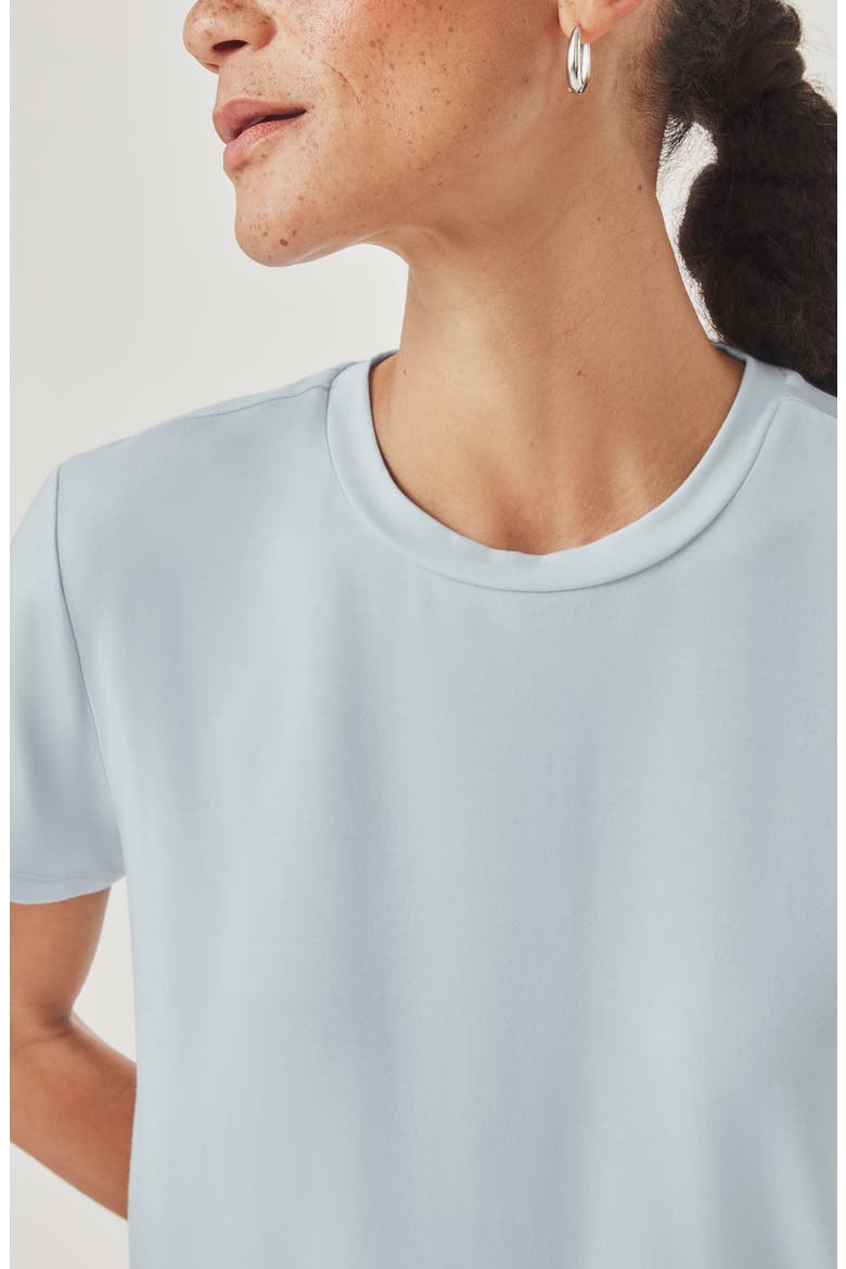 Tyra Crewneck T-Shirt, Alternate, color, COUNTRY AIR BLUE
