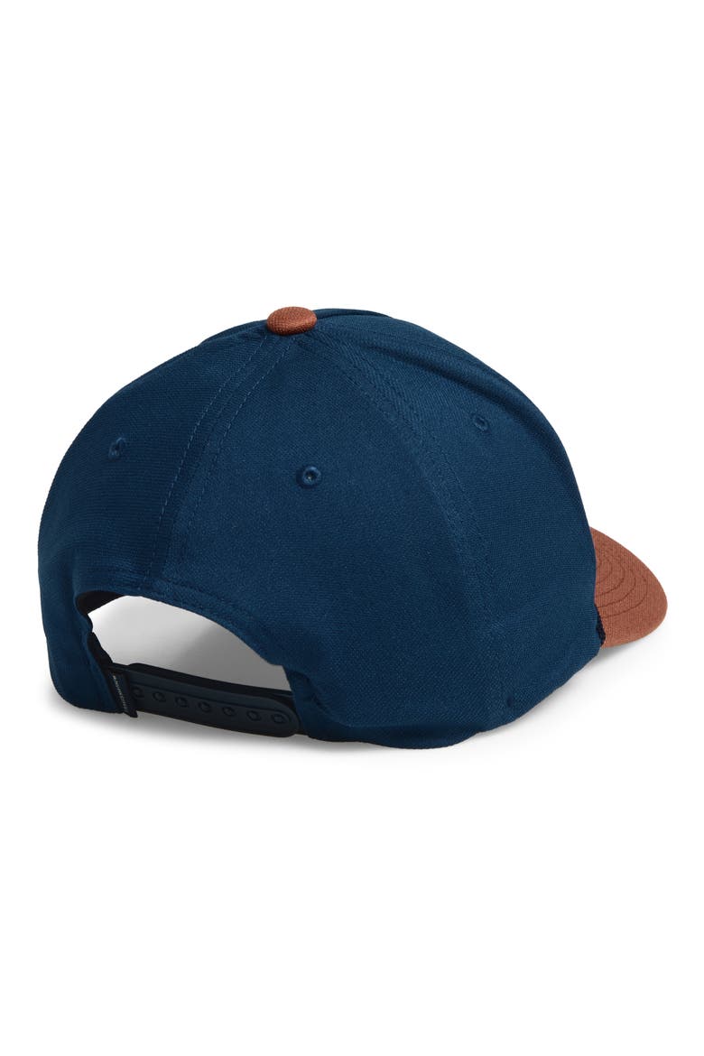 Beerly Beloved Baseball Cap, Alternate, color, TITAN