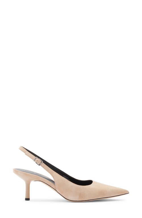 Nordstrom Liza Slingback Pointed Toe Pump