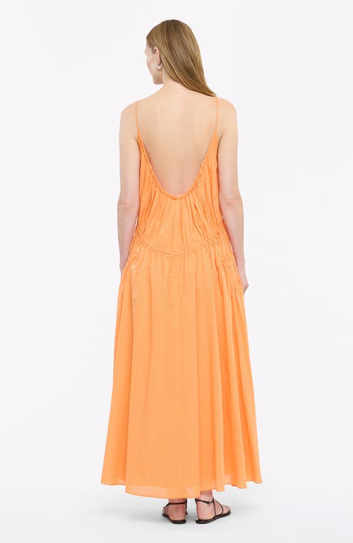 Shop Another Tomorrow Gathered Scoop Back Dress In Papaya