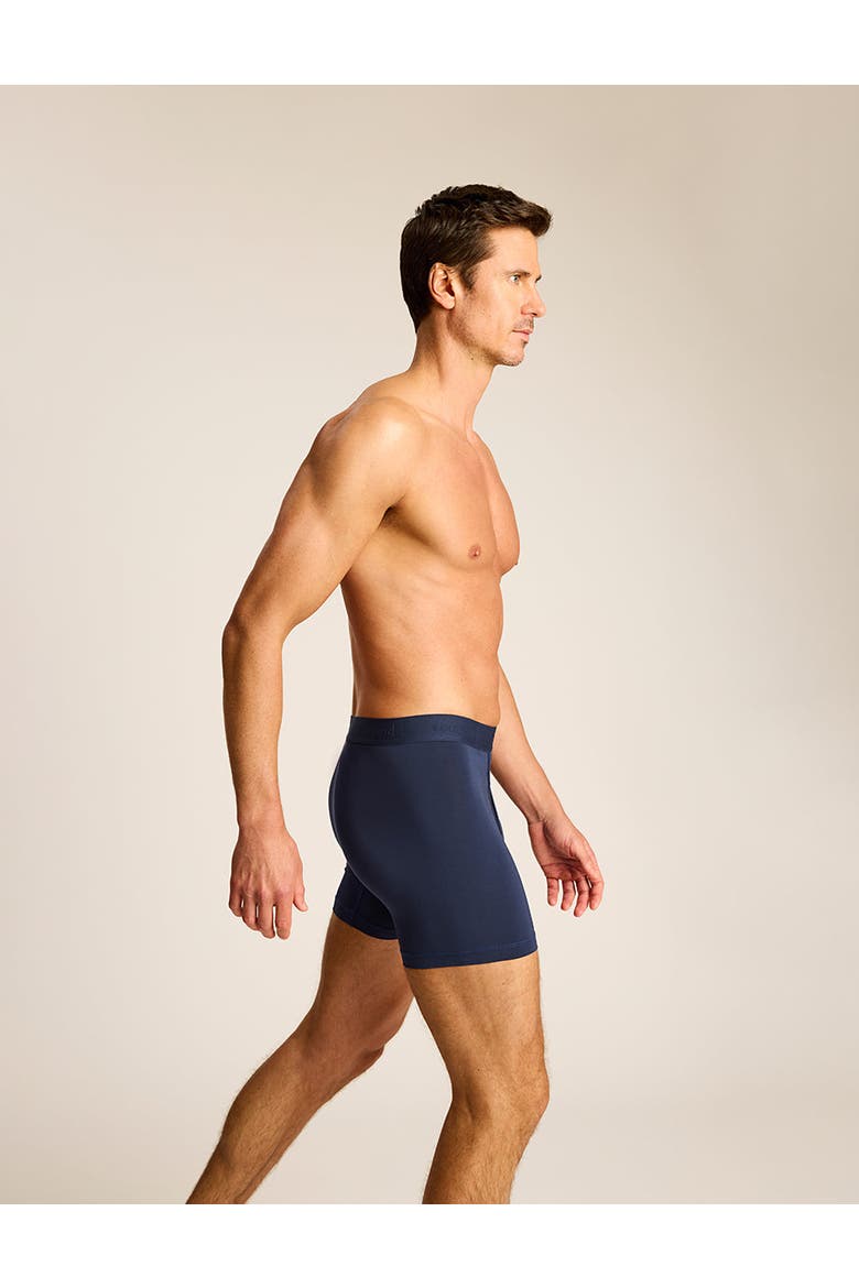 Essential Modal Relaxed Boxer Brief with Fly 3-Pack, Alternate, color, Black