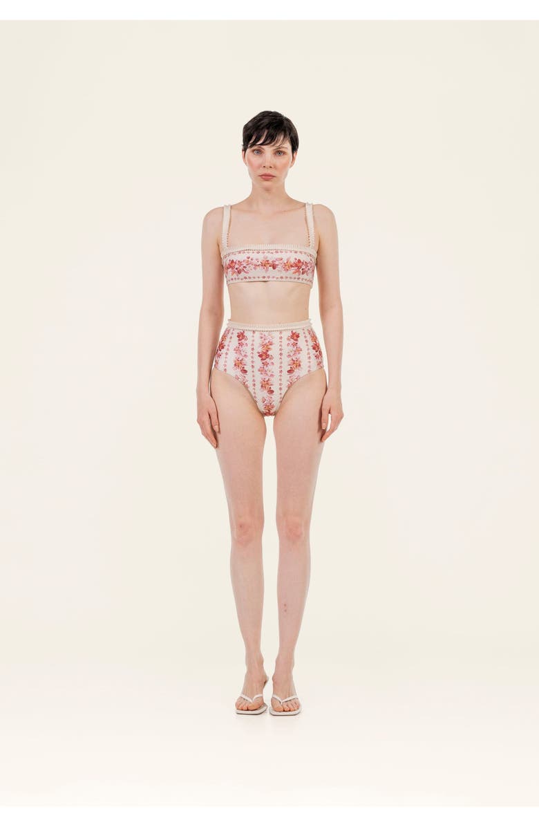 Agua by Agua Bendita Nopal Cauca Bikini Bottom, Alternate, color, Multicolor