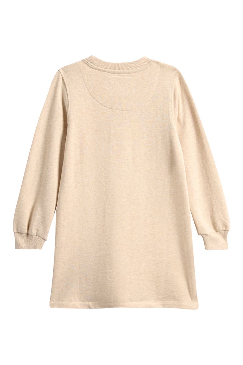 Kids' Embroidered Appliqué Sweater Dress, Alternate, color, OATMEAL BUTTERFLIES