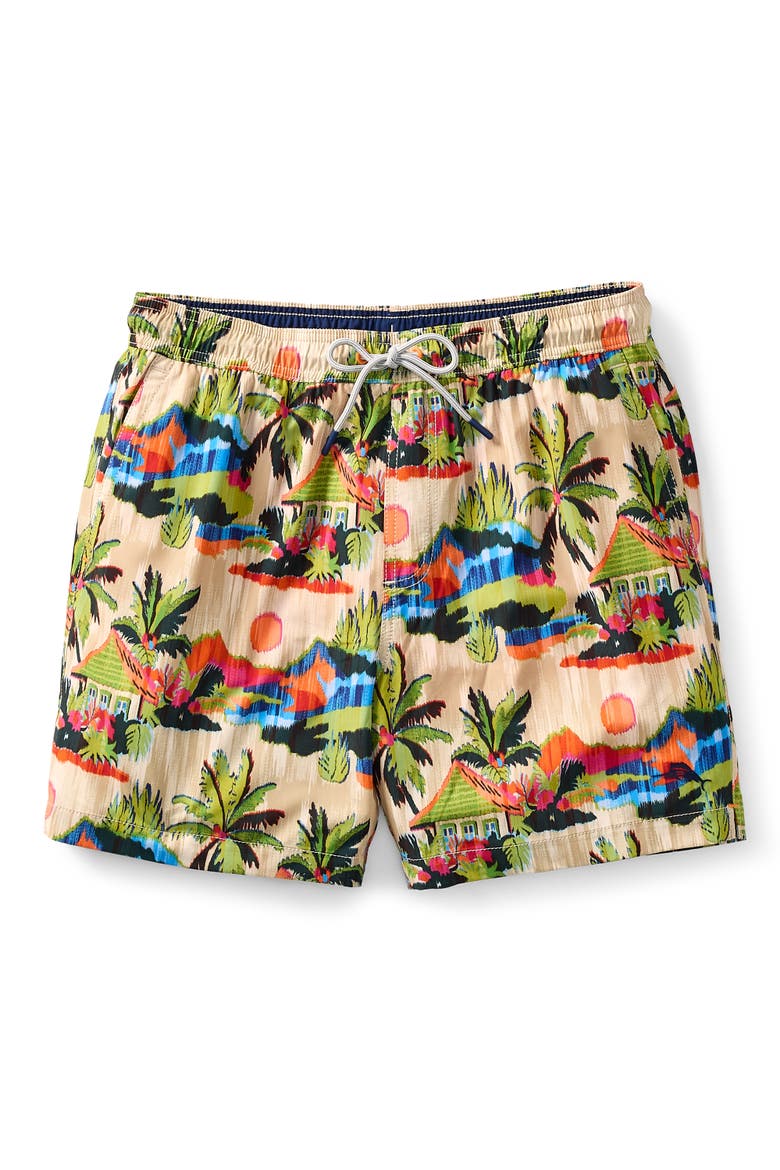 Big & Tall Cabana Skies Swim Trunks, Main, color, TANNED