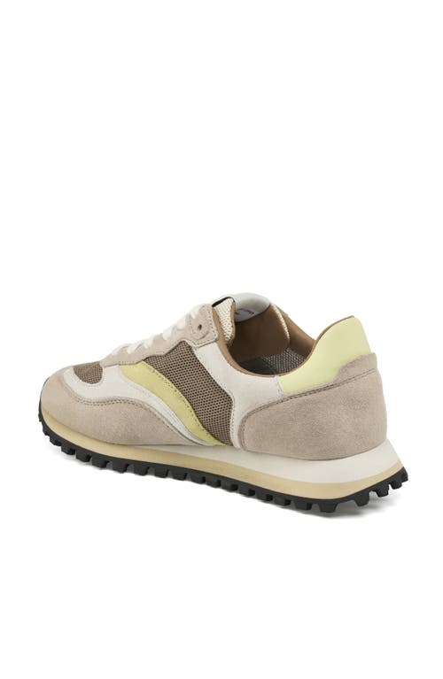 Jslides Footwear Vera Sneaker In Beige