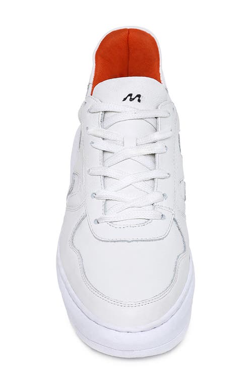 Sandro Moscoloni Leblon Low Top Leather Sneaker