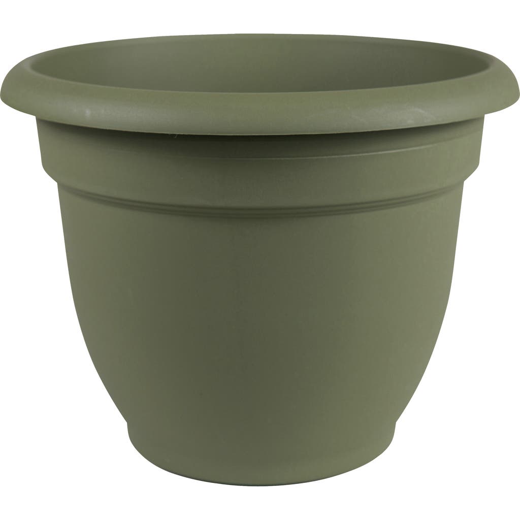 Bloem 20 Inch Ariana Pot Planter, Living Green In Gray