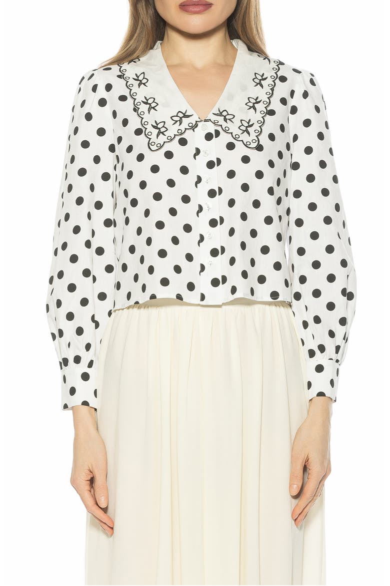 Issey Embroidered Collar Button-Up Shirt, Main, color, IVORY POLKA