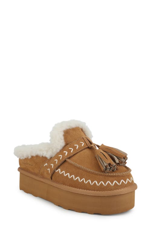 Vintage Havana Charm Faux Shearling Lined Platform Slipper In Brown