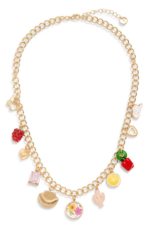 Bp. Western Mixed Charm Necklace In Gold Multi