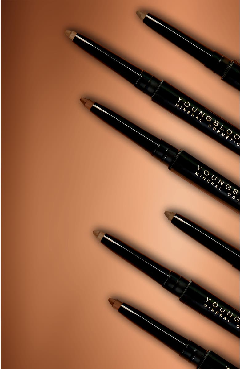 Youngblood Mineral Cosmetics On Point Brow Defining Pencil, Alternate, color, Dark Brown