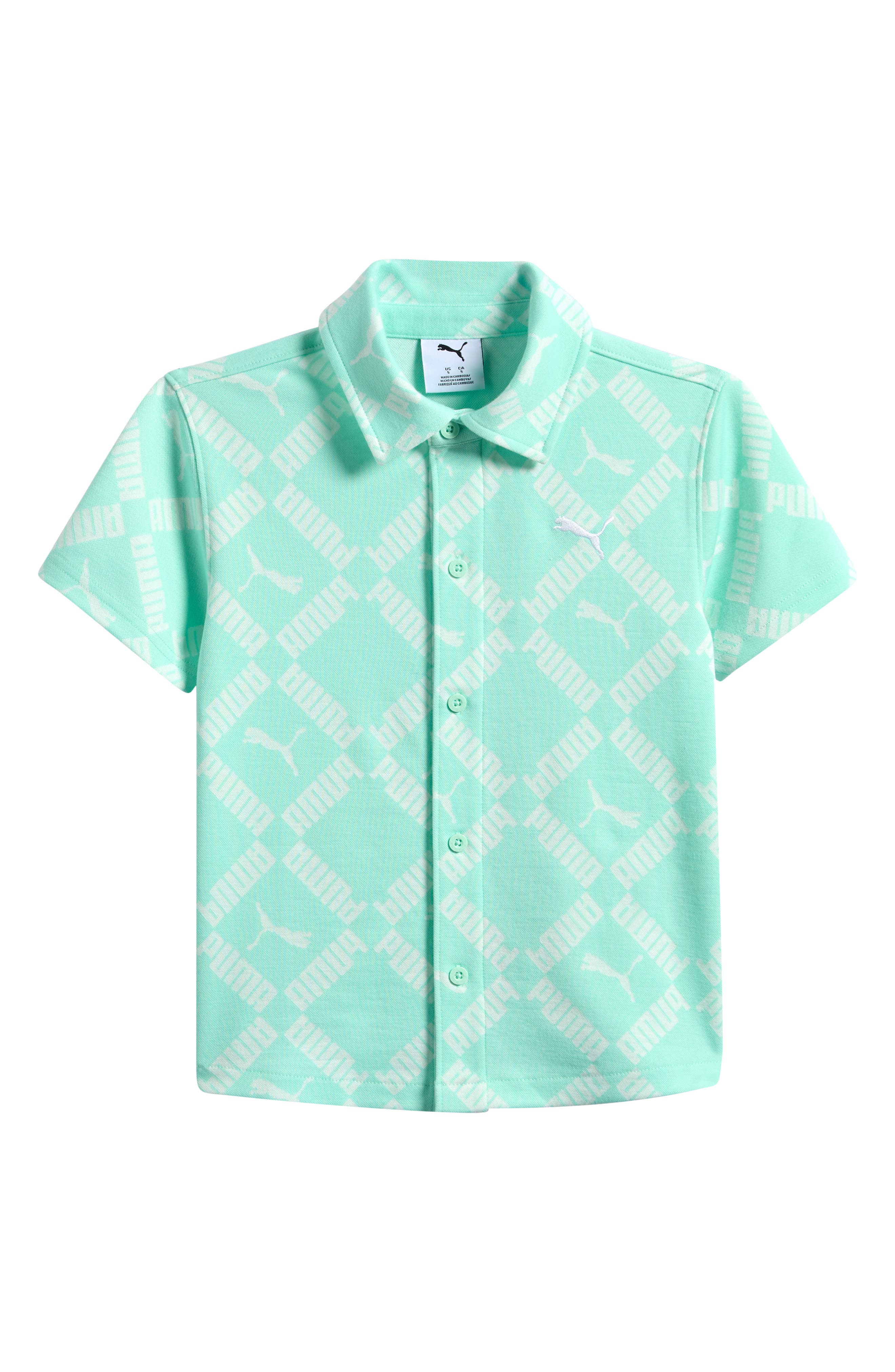 selected MINT CHIP INDIE