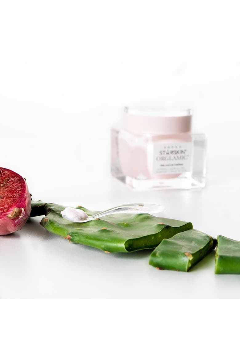 Pink Cactus Pudding Small, Alternate, color, none