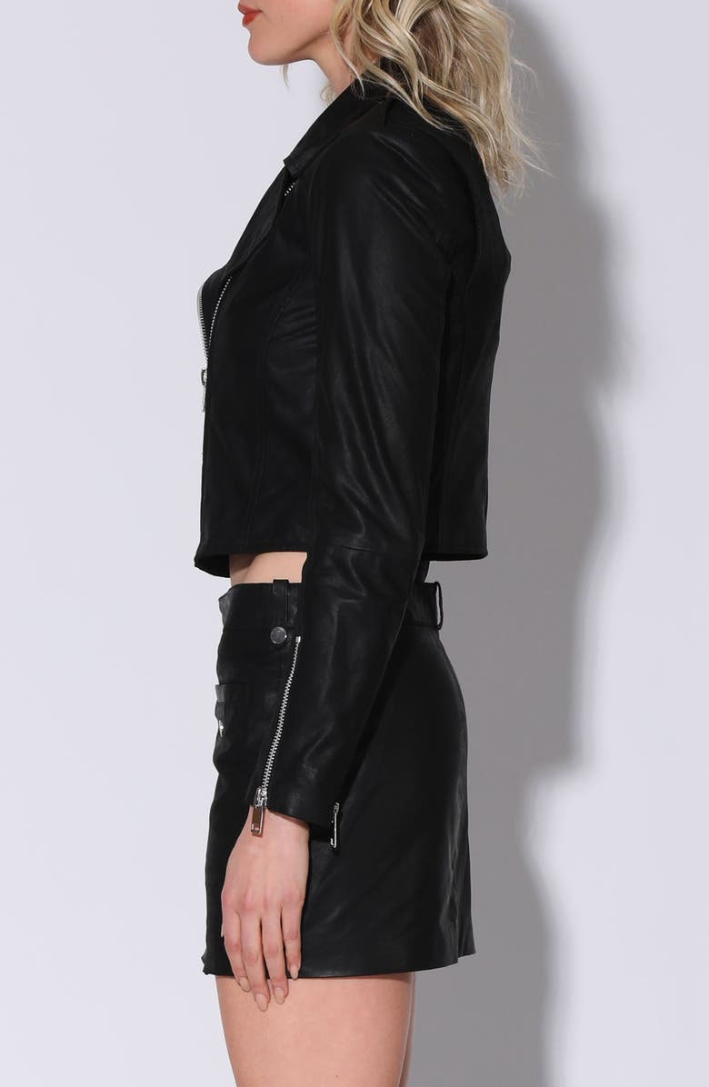 Walter Baker Jenny Leather Jacket, Alternate, color, 