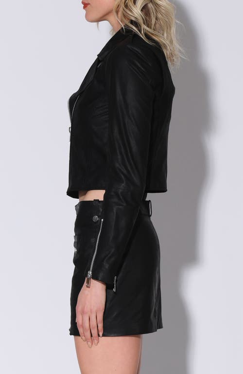 Walter Baker Jenny Leather Jacket In Black Napalon