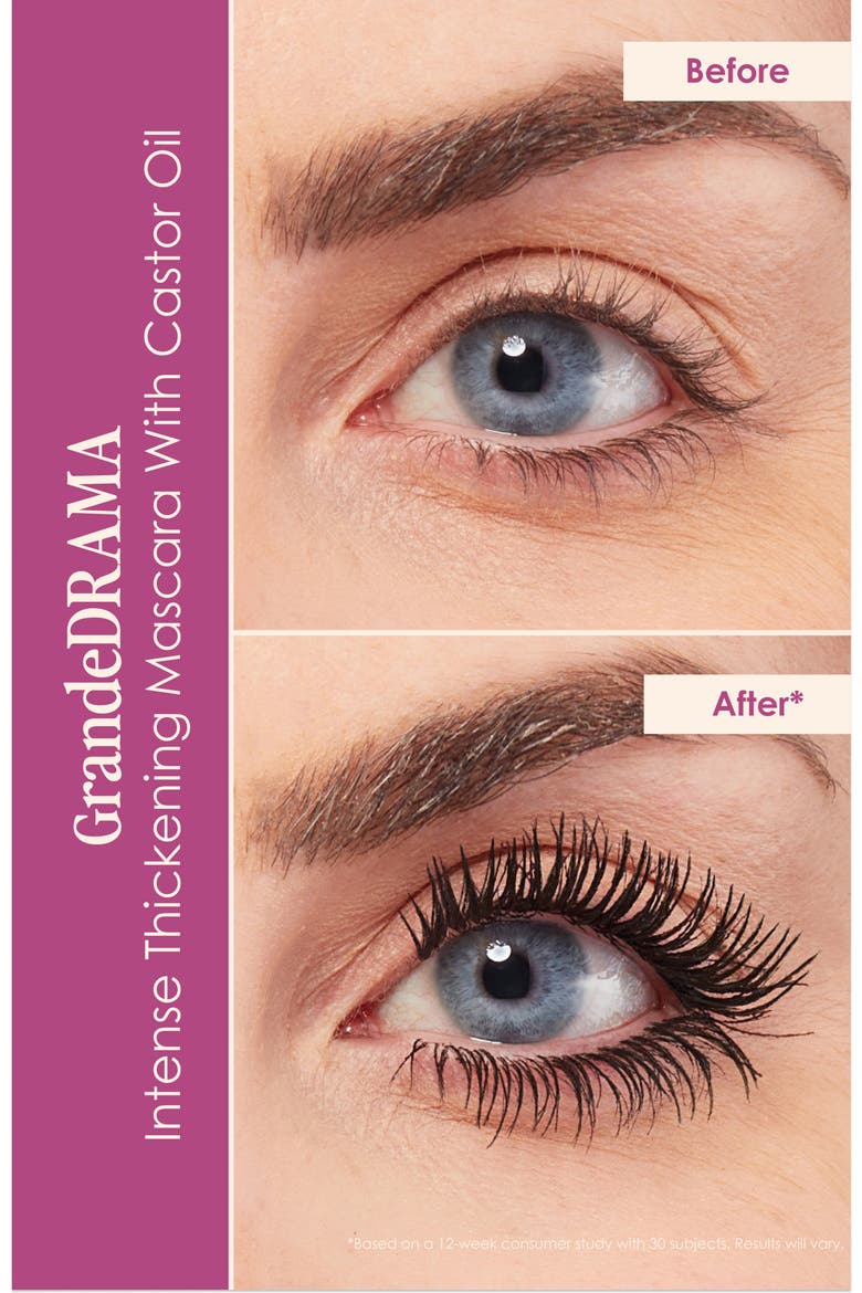 Dynamite Lashes & Brows Set $156 Value, Alternate, color, BLACK