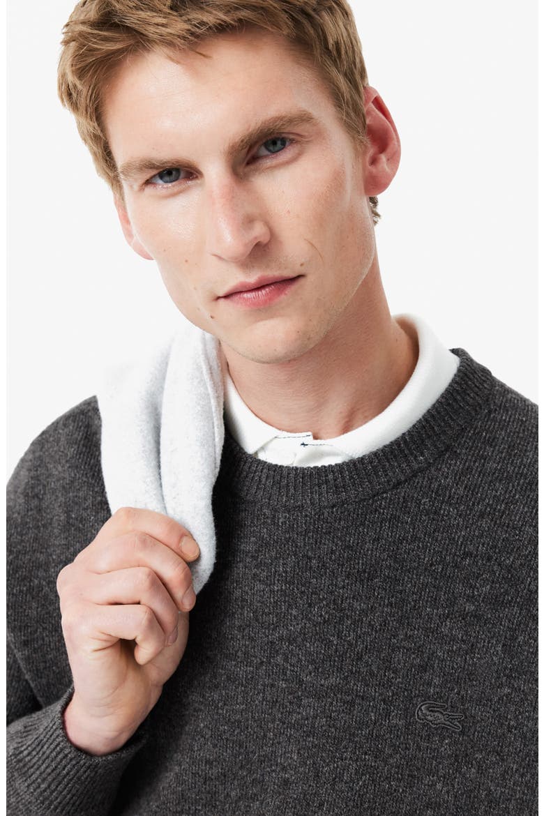 Relaxed Fit Double Face Cotton & Wool Blend Sweater, Alternate, color, IBV AGATHE CHINE/VIE