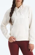 The North Face Evolution Half Dome Graphic Hoodie