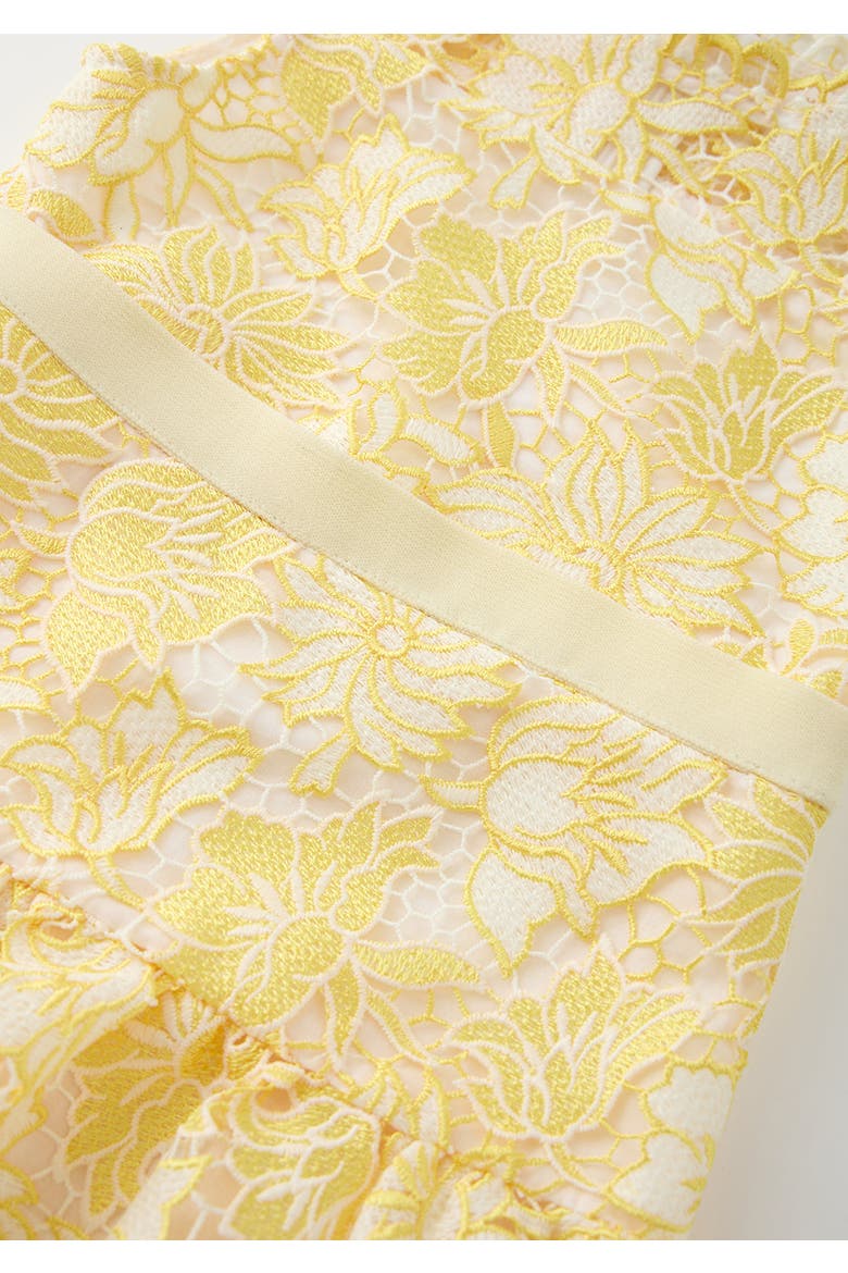 Cassandra Embroidered Mini Dress, Alternate, color, Yellow