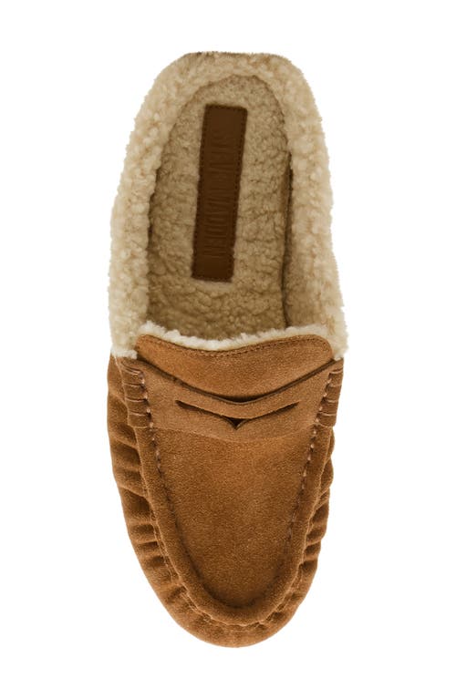 Steve Madden Rafe Genuine Shearling Mule In Brown