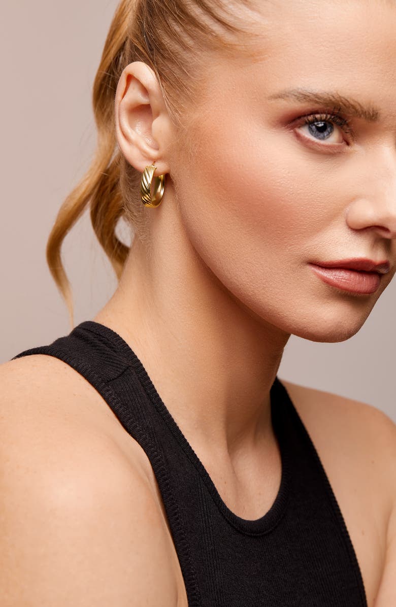 Bony Levy 14K Gold Hoop Earrings, Alternate, color, 