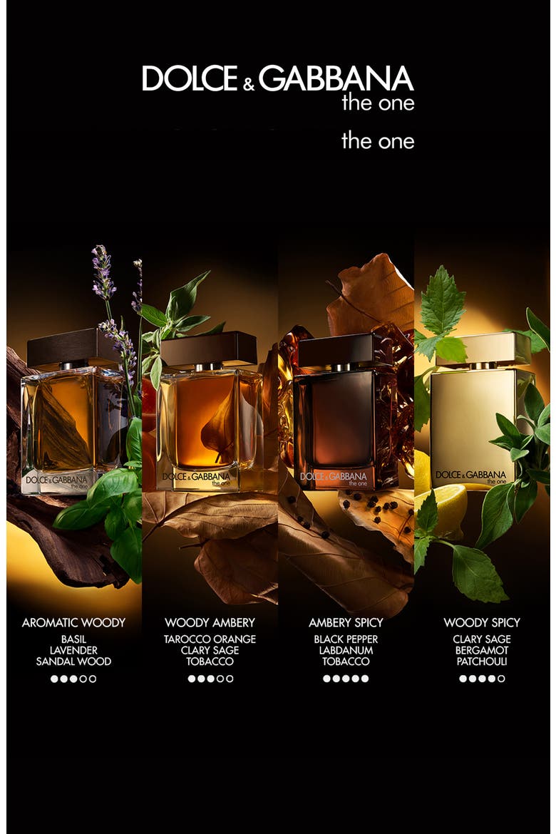 The One For Men Eau de Parfum, Alternate, color, NO COLOR