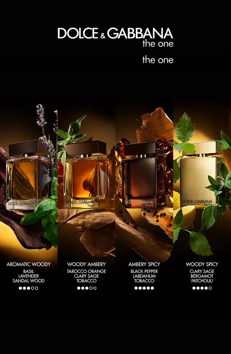 Dolce&Gabbana The One For Men Parfum, Alternate, color, 