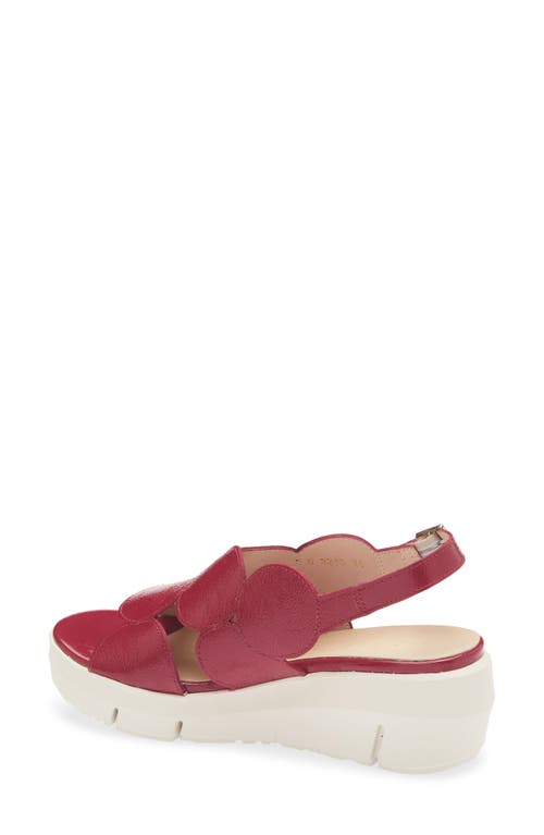 Wonders Platform Sandal In Lack Berry
