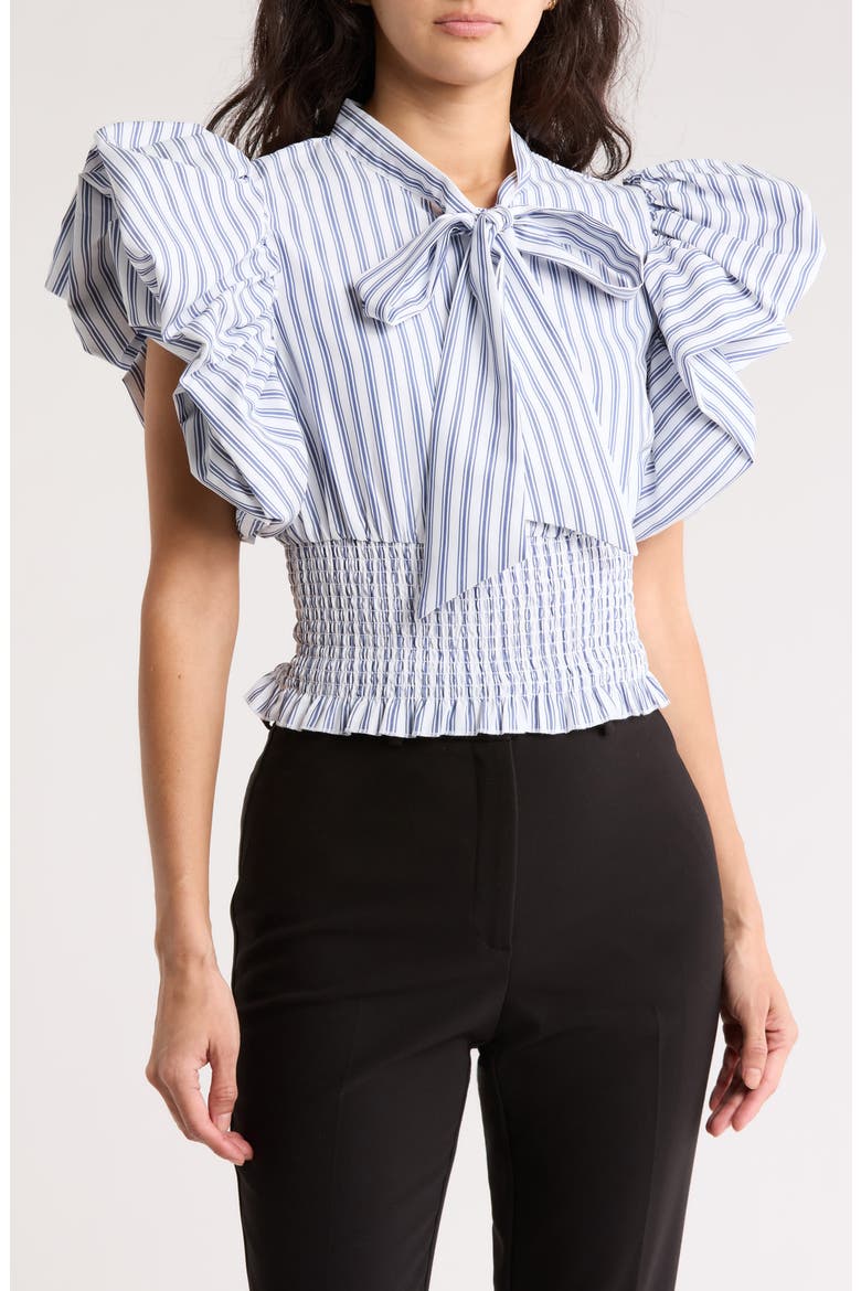 Dorothy Tie Front Ruffle Sleeve Crop Top, Main, color, MARTHAS VINEYARD STRIPE