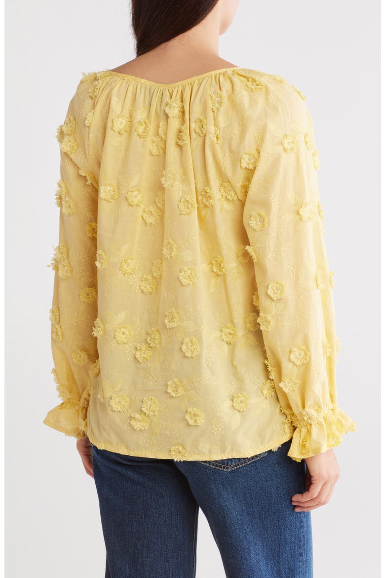 Embroidered Long Sleeve Top, Alternate, color, YELLOW