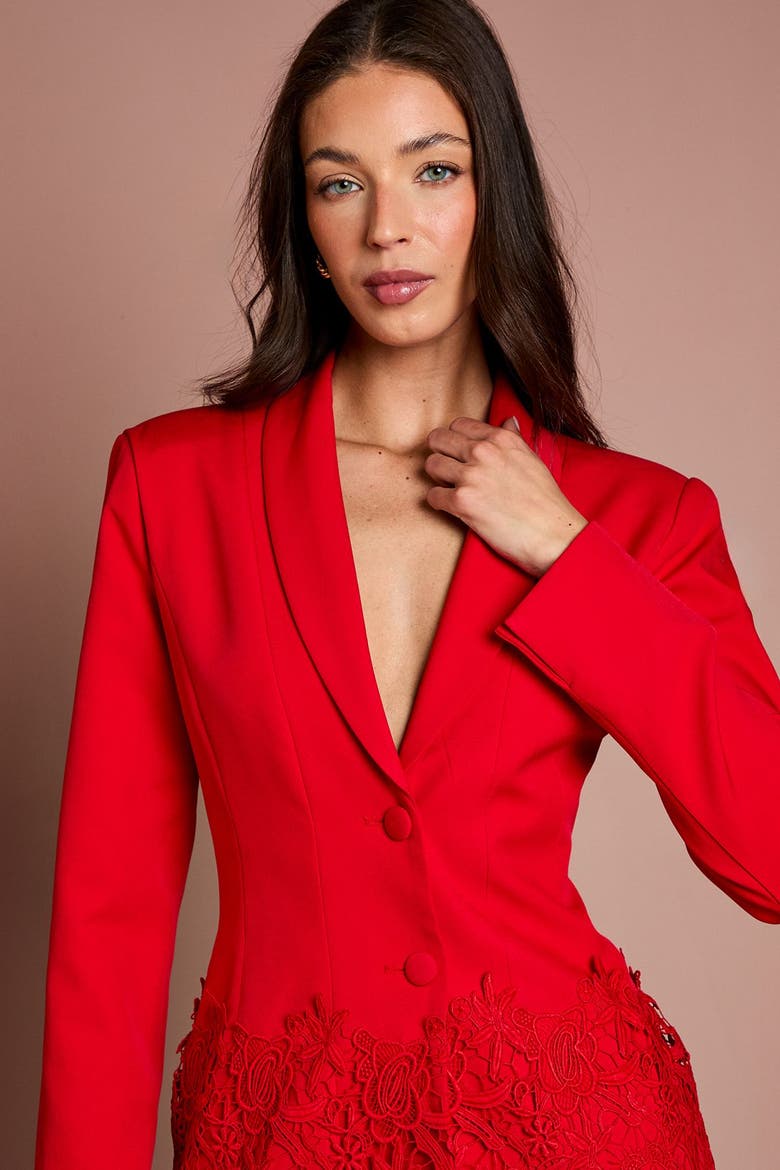 Embroidered Single Breasted Blazer, Alternate, color, Red