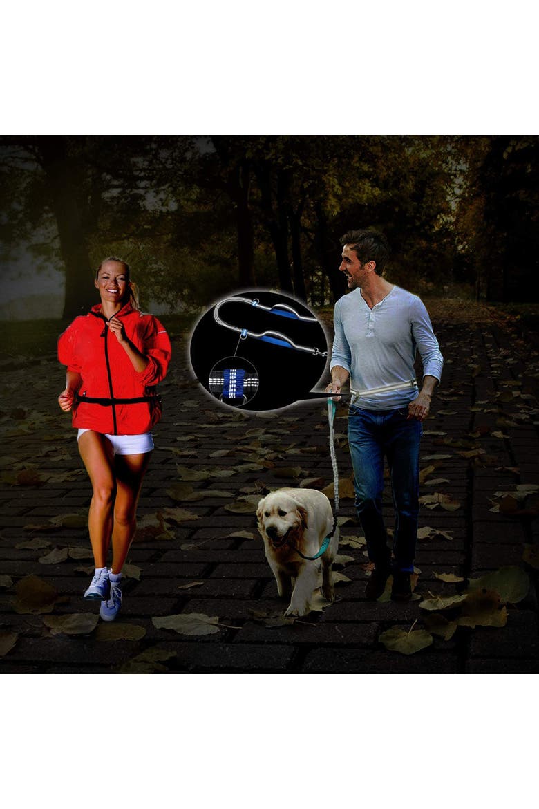 Hands Free Bungee Dog Leash, Alternate, color, Multicolored