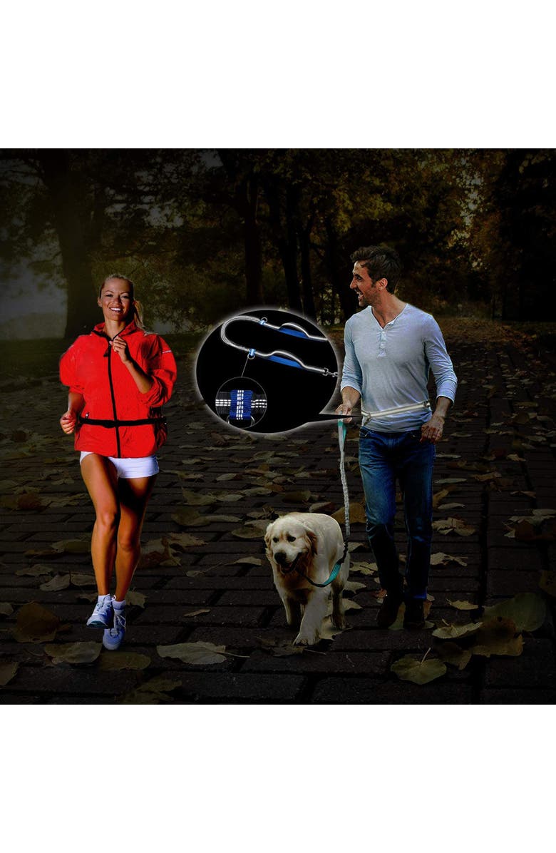 JESPET Hands Free Bungee Dog Leash, Alternate, color, Multicolored