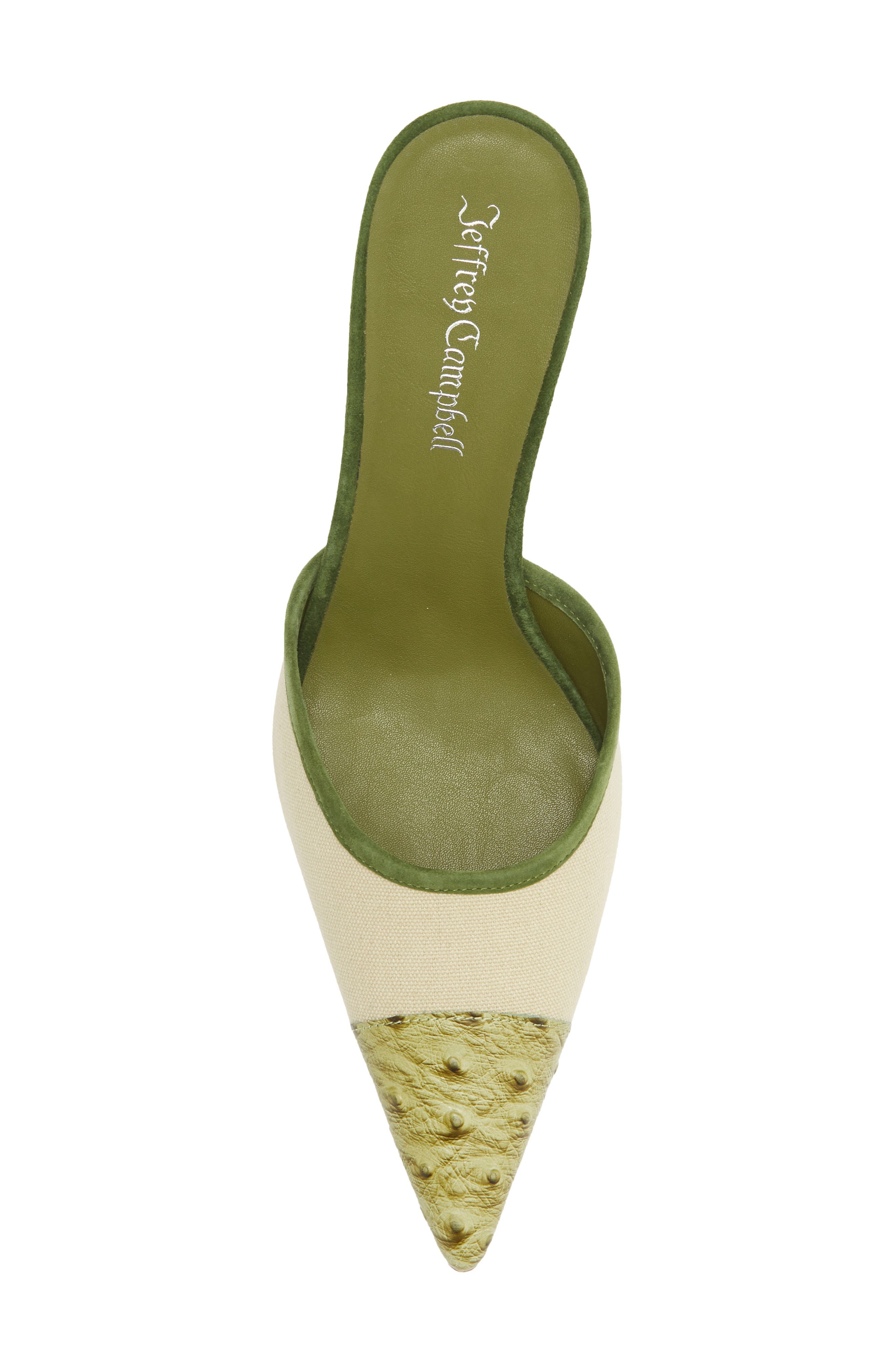 Parse Pointed Cap Toe Mule, Alternate, color, BEIGE CANVAS GREEN OSTRICH